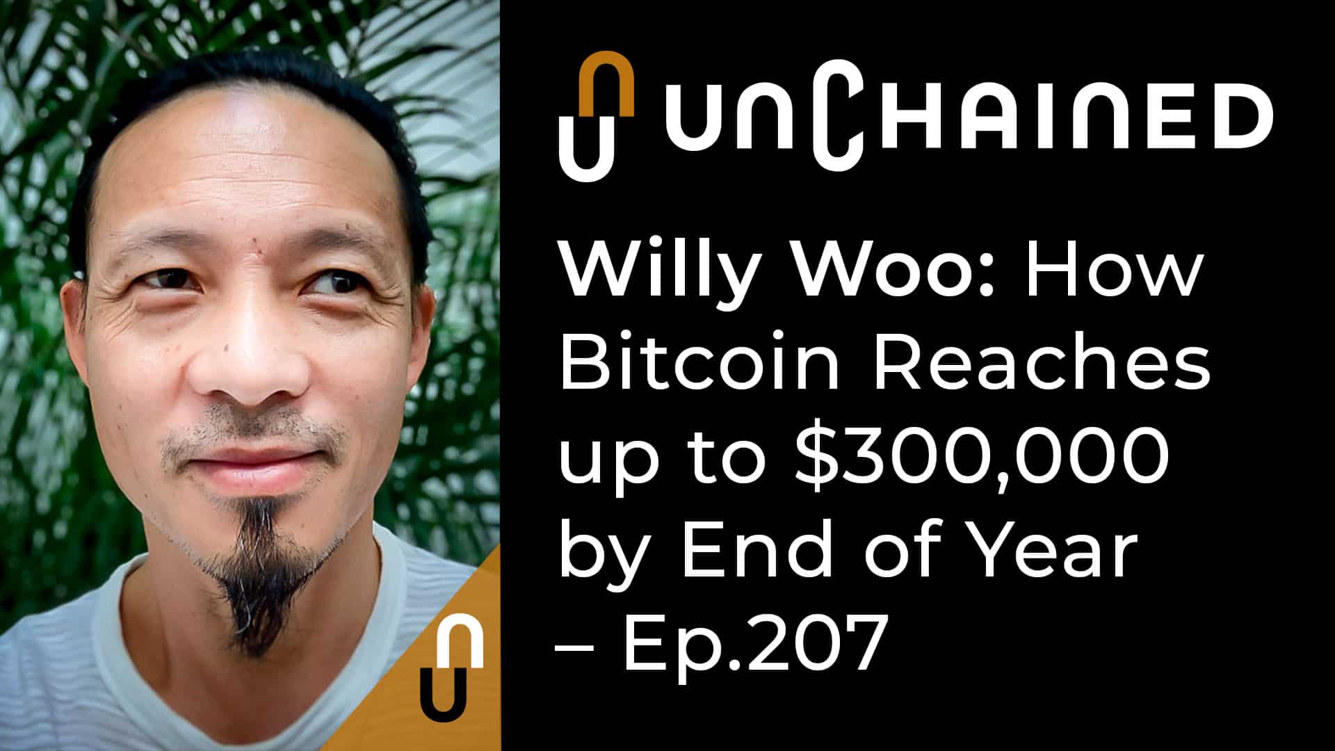 willy woo bitcoin