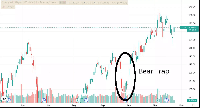 crypto bear trap chart