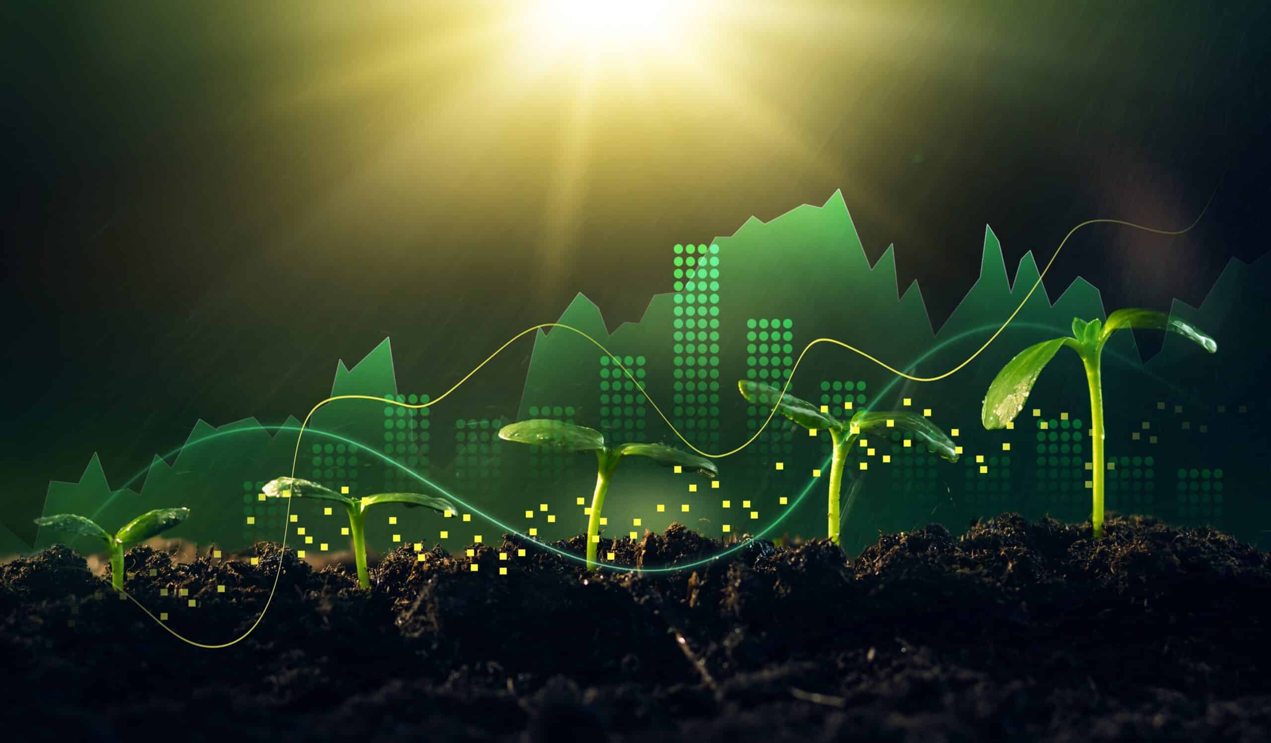 Increasing money,finance and investment.Theory of industrial development,profit, pattern and success. Younger vegetation enhance on sunny background.