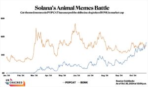 The market caps of POPCAT AND BONK year-to-date. (CoinGecko)