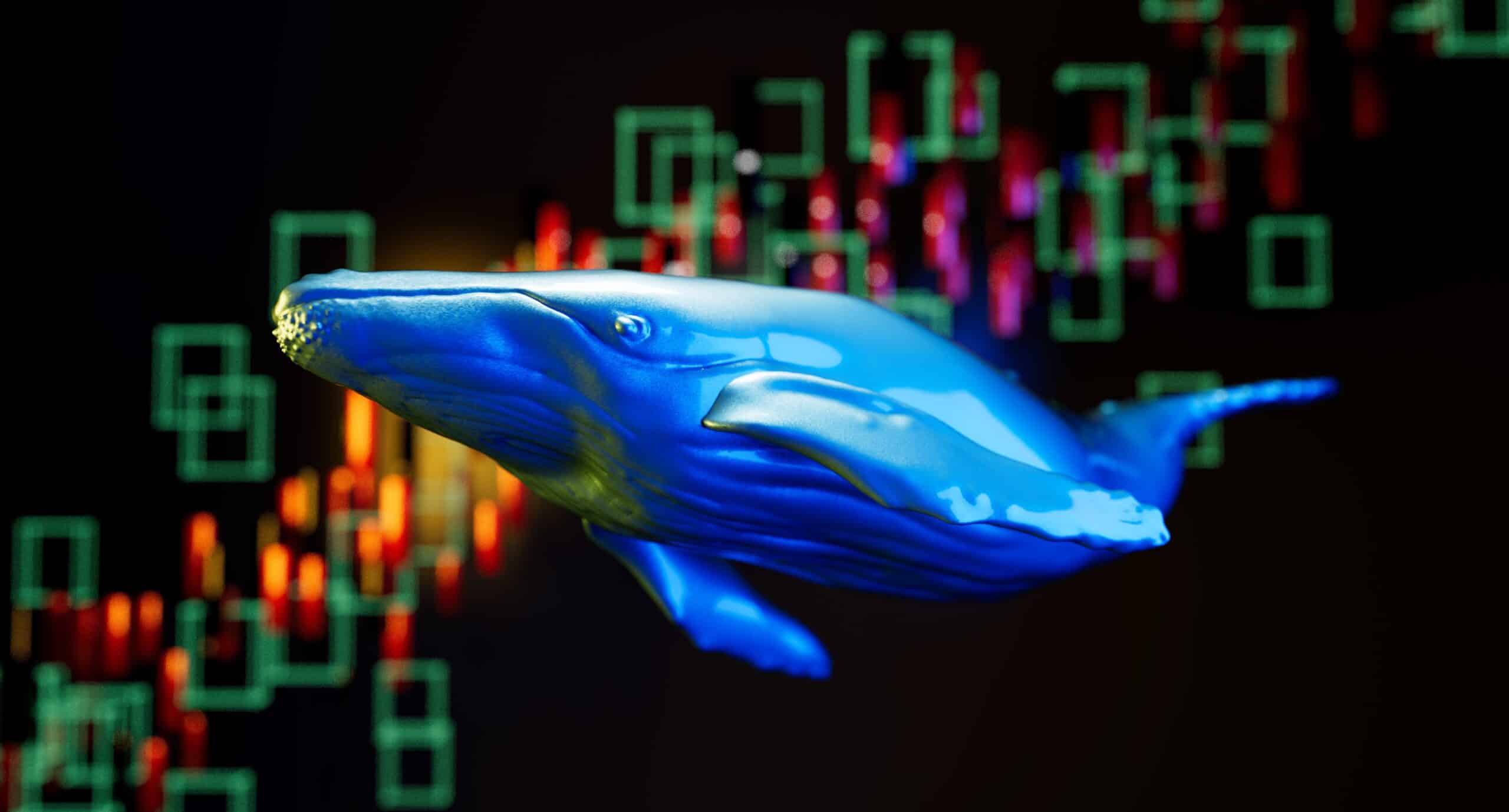 Cryptocurrency whale holder and buyer with soaring trading prices in the background (Shutterstock)