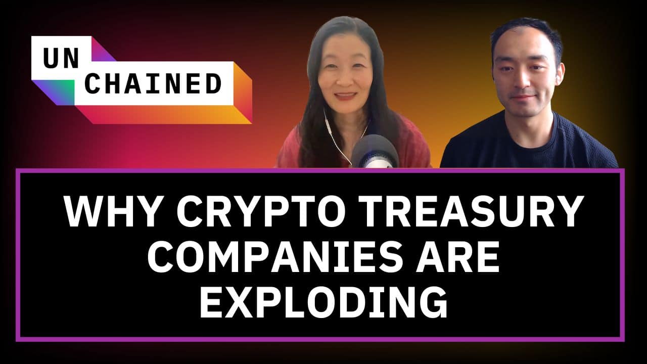 Bitcoin Treasury Companies Are Taking Off. Could They Eventually Crash? - Ep. 843